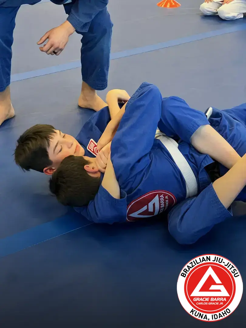 How many belts are in BJJ?